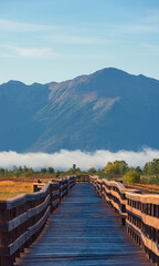 A wooden boardwalk in Potter Marsh Bird Sanctuary, Alaska