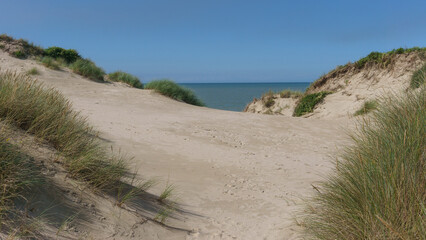 dune landscape at North Sea with green grass, Bray-Dunes, France