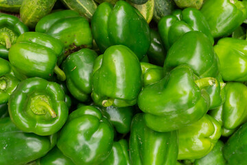 Obraz na płótnie Canvas Capsicum, the pepper, is a genus of flowering plants in the nightshade family Solanaceae. Fresh vegetables for sale at Territy bazar, Kolkata, West Bengal, India.