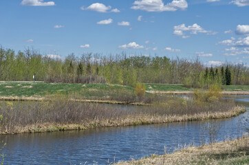 Obraz premium Pylypow Wetlands on a Sunny Spring Day