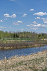 Pylypow Wetlands on a Sunny Spring Day