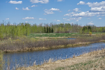 Pylypow Wetlands on a Sunny Spring Day