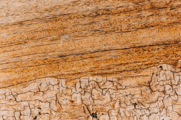 Close-up old cracked wooden surface, textured wooden background. The surface of the old brown wood texture