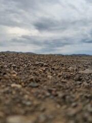 wall