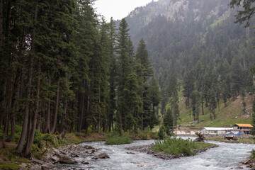 Fototapeta na wymiar Beautiful scenery of kumrat forest along panjkora river