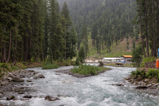 River panjkora flowing in the kumrat deodar forest