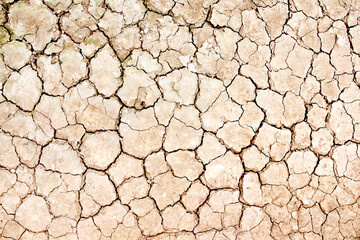 Cracked earth texture drought season background top view