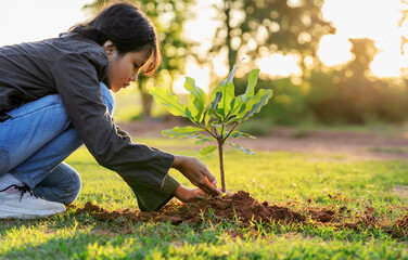 children planting small tree in sunset. concept save earth