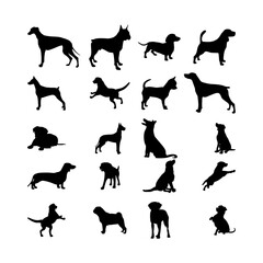 Vector silhouette of dog on white background