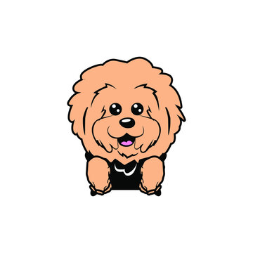 The collection of poodle in many action. Graphic resource about set of dogs poodle for graphic, content, etc