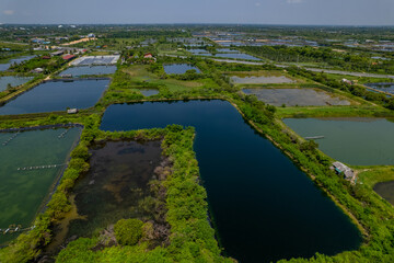 Aerial view of the shrimp pond.  
The Shrimp farming in thailand 