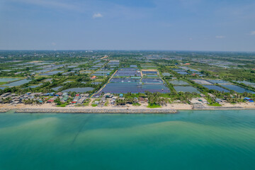 Aerial view of the shrimp pond.  
The Shrimp farming in thailand 