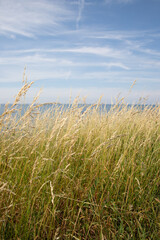 Fototapeta premium The beautiful Fyns Hoved in Denmark