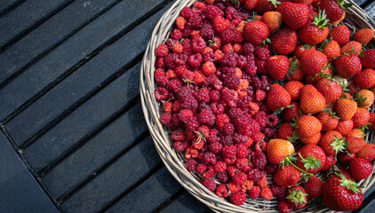 The tasty homegrown berries