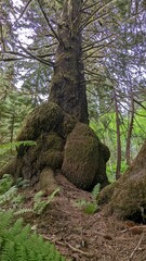 Exchamsiks River Provincial Park, British Columbia, Canada
