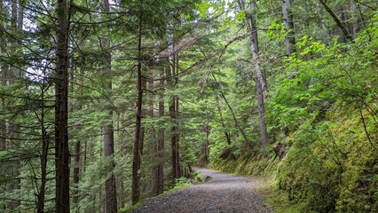 Kleanza Creek, Terrace, British Columbia, Canada