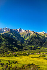 landscape with sky