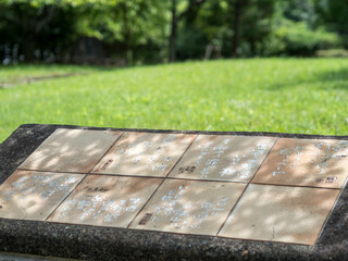 Fototapeta premium 公園の石板