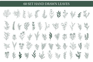 Doodle hand drawn leaf collection for background, wedding invitation ornament, social media post background, thank you card, seamless pattern