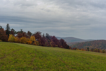 Fototapeta na wymiar Herbstlicher gefärbter Wald mit Wiese