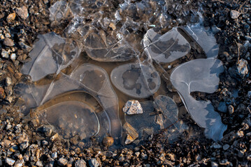 gefrorene mit Eis &uuml;berzogene Lacke