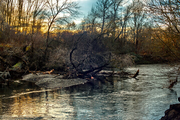 Herbstliche/Winterlich kahle B&auml;ume an einem Fluss 2