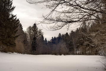 Winterliche L1ndschaft