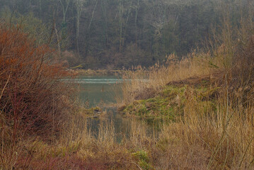 Regnerische Aulandschaft