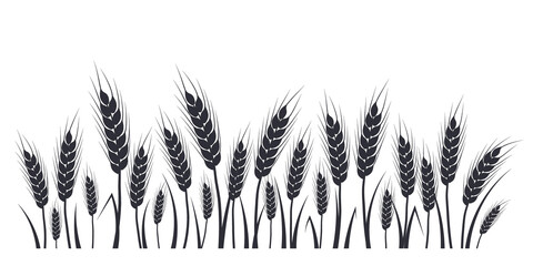 Wheat, oat, rye or barley field silhouette. Cereal plant border, agricultural landscape with black spikelets. Banner for design beer, bread, flour packaging