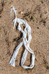 Alien Object on the Beach 10