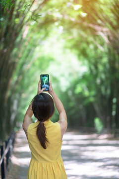 Asian Woman in yellow dress and hat Traveling at green Bamboo Tunnel, Happy traveler taking photo by mobile phone at Chulabhorn wanaram temple in Nakhon Nayok, Thailand