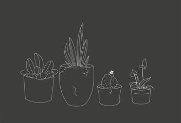 potted plants illustration