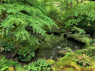 林に囲まれた美しい池 瑠璃光院