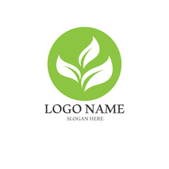 Green leaf Logo and symbol vector