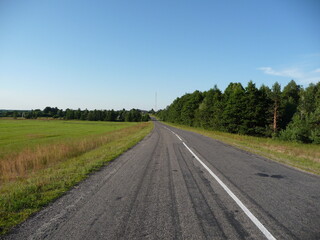 road, nature along the road