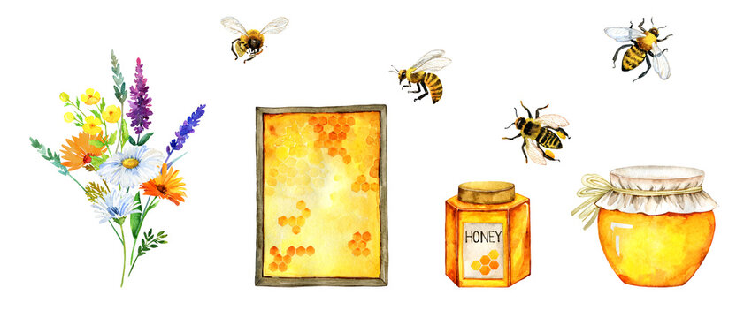 Honey bee, honeycomb, honey jar set painted with watercolor.  Beekeeping fresh honey farm elements isolated on white. Local healthy organic food, farmhouse decor, card, postcard, stickers