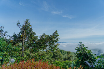 Obraz premium photo view of mountains and fog in thailand 