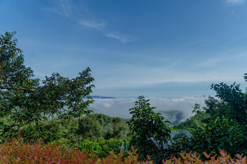 photo view of mountains and fog in thailand 