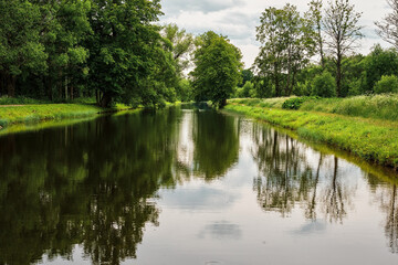 Reflection of trees in the water of a forest river. Green park or forest on the bank of the river in cloudy weather. Northern summer, vacation time, banner or background idea