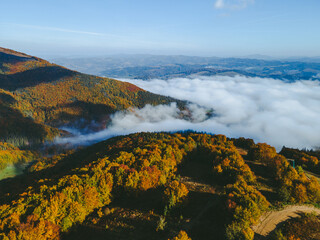 aerial landscape view of autumn carpathian mountains