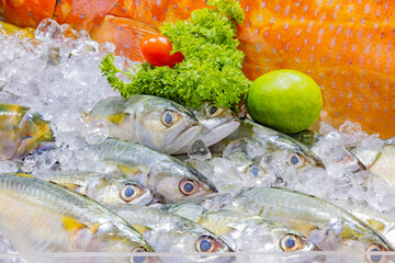 Fresh mackerel fish are displayed on the table for sale in the market. The fish on ice to preserve its freshness.