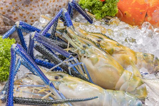 Fresh Giant River Prawns Or Giant Freshwater Prawns On Ice. Three Giant River Shrimp On Display Counter Selling At Local Market.