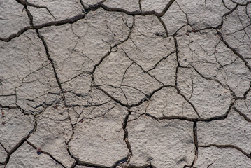 Drought land. Cracked dry earth soil due to global warming effect. Dried cracked earth soil ground texture background. Mosaic pattern of sunny dried earth soil.