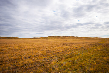 Fototapeta premium Tibet Plateau scenery. Yellow wild grass against the background of the cloudy sky. A landscape view of the dry hills. Amazing view of a desolate plain on a cloudy day with dry grass in the foreground.