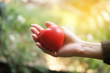 Woman hands holding red heart. Heart health insurance concept.
