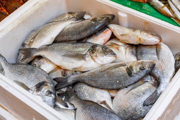 Market stall selling seafood delicacies in Istanbul