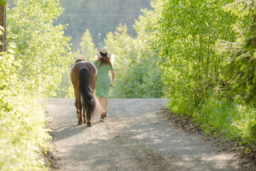 Icelandic horse on gravel road with young woman. Shot in the evening middle of the summersummer in...