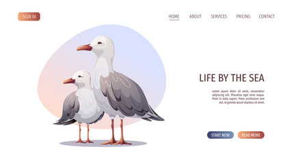 Seagulls. Maritime, sea coast, marine life, nautical concept. Vector illustration. Website, banner template.