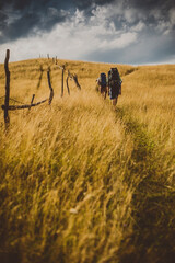 three tourists walking at golden grass field, blue sky