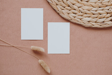 Blank paper card with mockup copy space, elegant dried rabbit tail grass stalk on coral background. Top view, flat lay minimalist aesthetic bohemian brand template